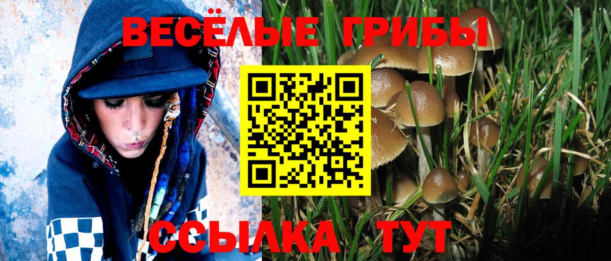 наркошоп  Вход с VPN  Белая Калитва  Псилоцибиновые грибы GOLDEN TEACHER 