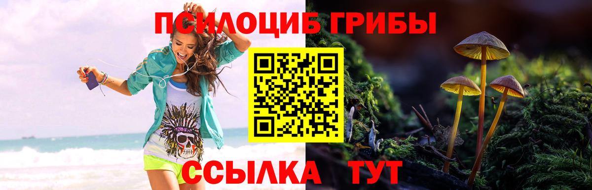 А ПВП СК   Cocaine  Мефедрон   ЭКСТАЗИ  Гашиш  Белая Калитва  Вход с VPN 